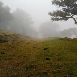 Bespoke Granite Chair thumbnail 2