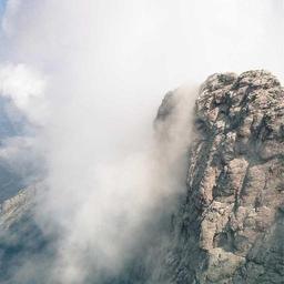 Electronic Plastic Fish thumbnail 1