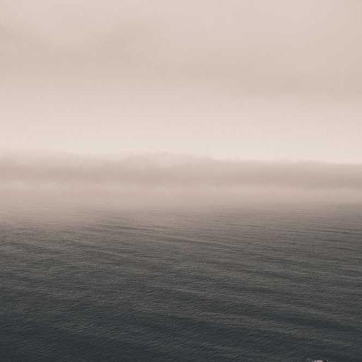 Intelligent Bronze Fish