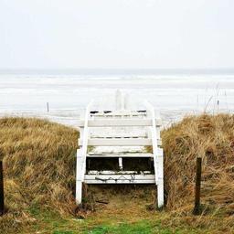 Luxurious Soft Salad thumbnail 5