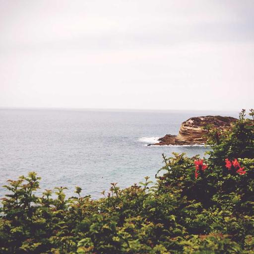 Fantastic Plastic Mouse