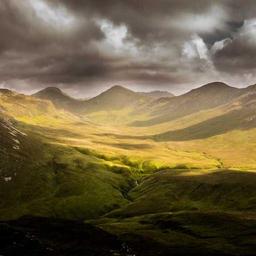 Generic Rubber Shirt thumbnail 2