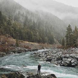 Ergonomic Soft Cheese thumbnail 2