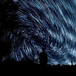 Small Cotton Gloves thumbnail 4