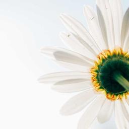 Modern Granite Hat thumbnail 2