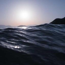 Luxurious Fresh Tuna thumbnail 2