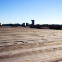 Fantastic Frozen Fish thumbnail 4