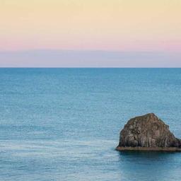 Generic Fresh Fish thumbnail 1