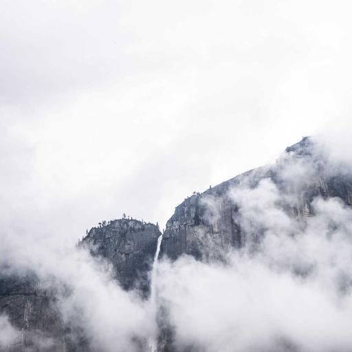 Fantastic Cotton Bacon