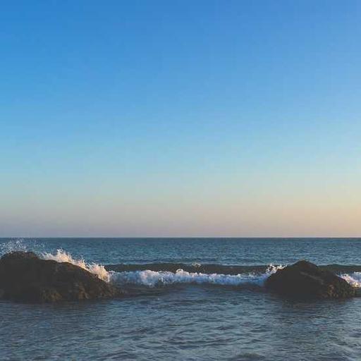 Licensed Rubber Shoes