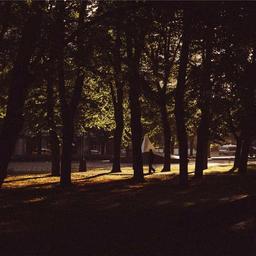 Gorgeous Cotton Chair thumbnail 3