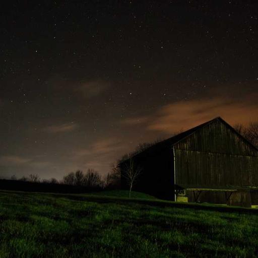 Licensed Concrete Shirt