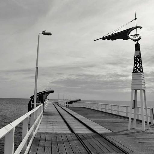 Elegant Concrete Tuna