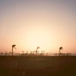 Handmade Soft Soap thumbnail 2