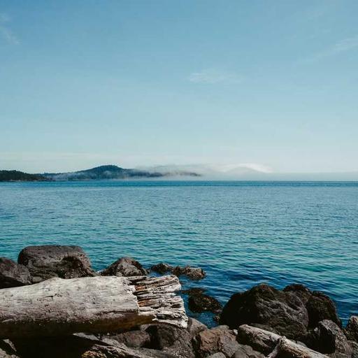 Refined Granite Chicken