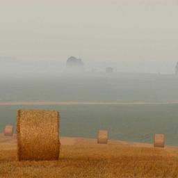 Electronic Cotton Soap thumbnail 5