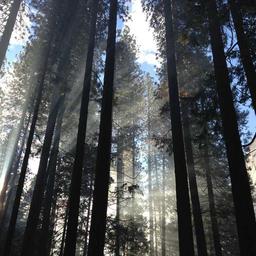 Bespoke Granite Pizza thumbnail 4