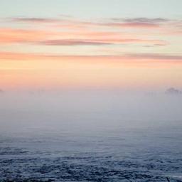 Elegant Granite Chips thumbnail 4