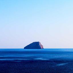 Rustic Fresh Chicken thumbnail 3