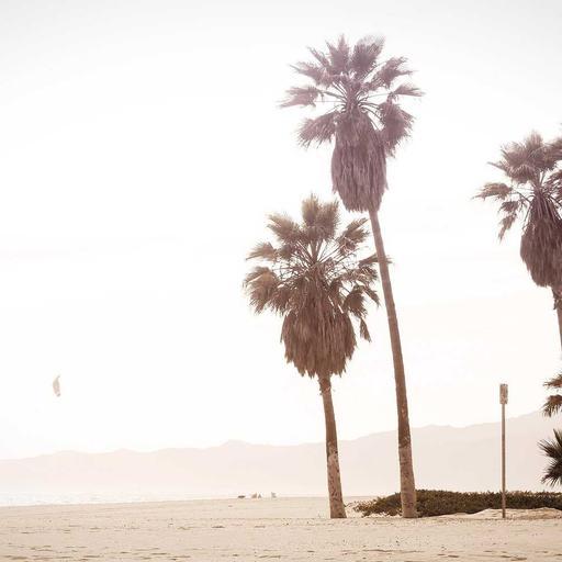 Practical Fresh Computer