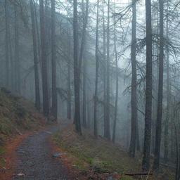 Gorgeous Granite Chair thumbnail 2