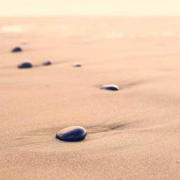 Tasty Cotton Hat thumbnail 3