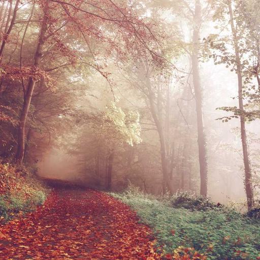 Electronic Rubber Gloves