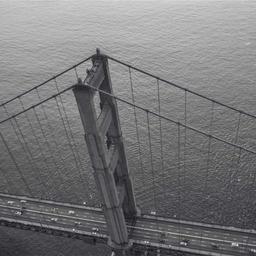 Generic Rubber Gloves thumbnail 2