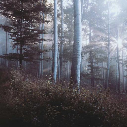 Ergonomic Cotton Shirt