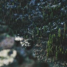 Refined Frozen Towels thumbnail 5