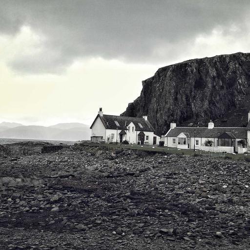 Gorgeous Cotton Fish