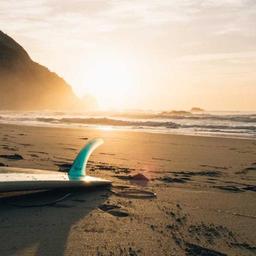 Gorgeous Bronze Car thumbnail 4