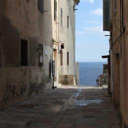 Tasty Fresh Car thumbnail 3