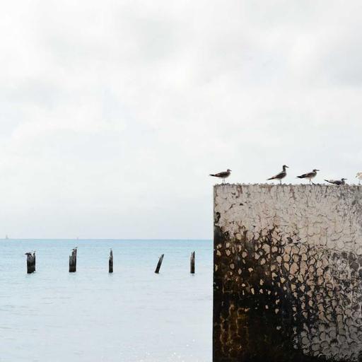 Unbranded Bronze Pizza