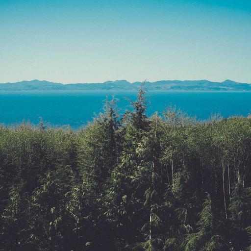 Unbranded Fresh Gloves