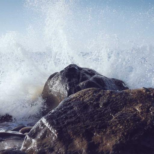 Electronic Cotton Fish