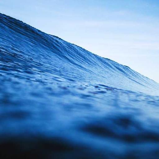 Elegant Cotton Mouse