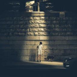 Awesome Wooden Salad thumbnail 4