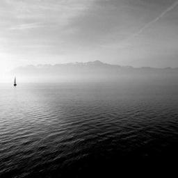 Ergonomic Metal Fish thumbnail 3