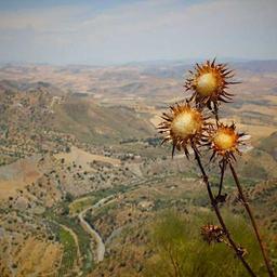 Luxurious Frozen Computer thumbnail 4