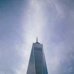 Practical Soft Bacon thumbnail 5