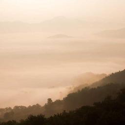 Recycled Bronze Hat thumbnail 3