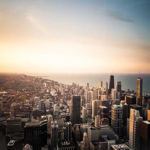 Licensed Concrete Gloves