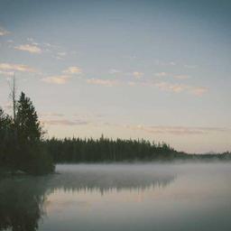 Rustic Cotton Bacon thumbnail 3