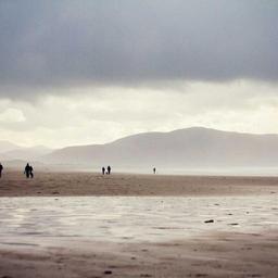 Ergonomic Cotton Mouse thumbnail 2