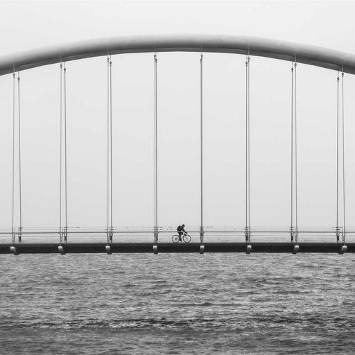 Handcrafted Bronze Chicken