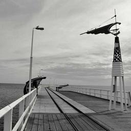 Handcrafted Cotton Tuna thumbnail 2