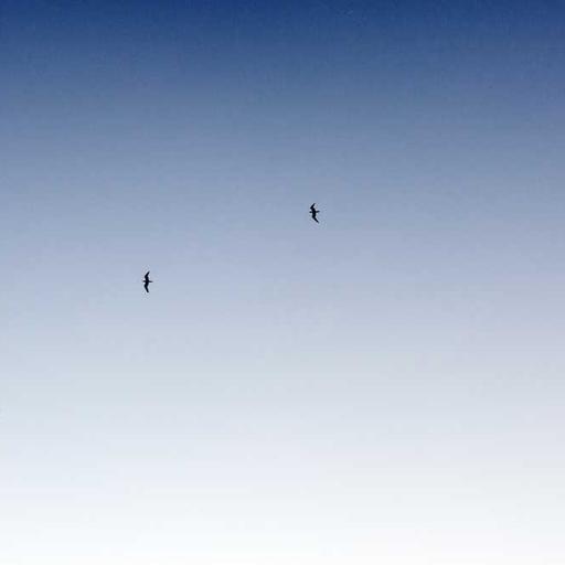 Generic Rubber Pants