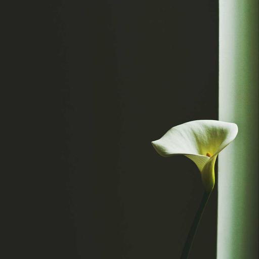 Rustic Plastic Keyboard