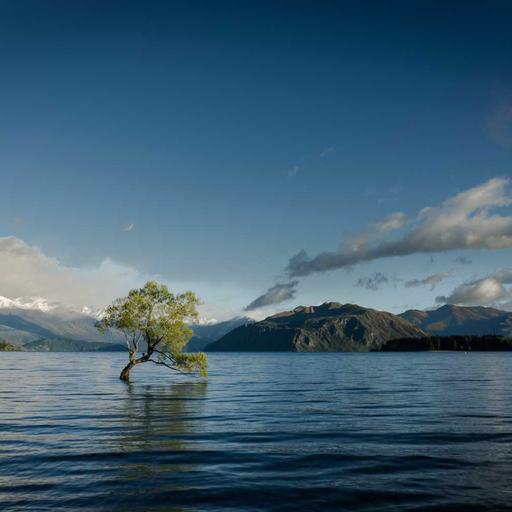 Licensed Granite Towels